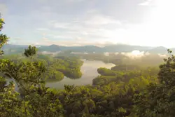 River With Trees And A Mountain