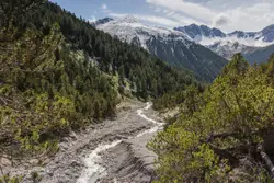 Mountain Range With A Couple Of Trees