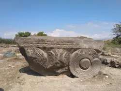 Large Brown And Black Object Sitting On Top Of A Dirt Field