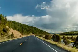 Road With A Couple Of Trees And A Road Sign