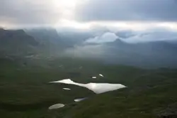 White Bird Is Standing On A Hill