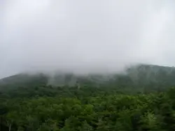 Mountain With A Few Trees And A Few Trees
