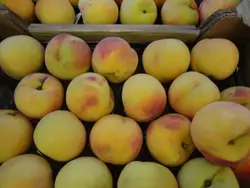 Pile Of Apples Sitting On Top Of A Wooden Table