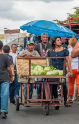 Man Is Holding A Cart Full Of Vegetables