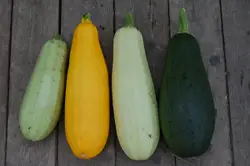 Two White And Black And White And A Couple Of Green And Yellow And White And Black And White
