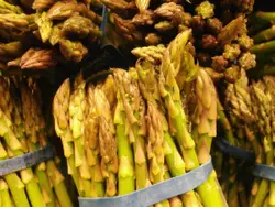 Pile Of Green And Yellow Bunches Of Green And Yellow Bunches
