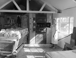 Kitchen With A Lot Of Food On The Counter