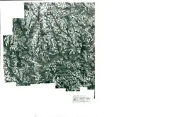 Painting Of A Snowy Area With A Bench
