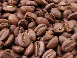 Large Pile Of Brown And White Frosted Coffee Beans