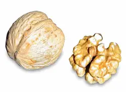 Pile Of Different Types Of Vegetables