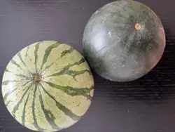 Two Different Types Of Vegetables On A Table