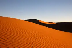 Lone Lone Lone Lone Lone Lone Lone Lone Lone Lone Lone Lone Lone Lone Lone Lone Lone Lone