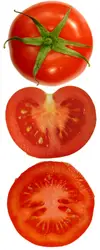 Red And White Plate With A Cut In Half Tomato