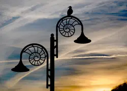 Clock On A Pole With A Street Light