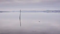 Pole With A Rope Attached To It