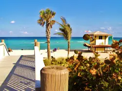 Bench On A Beach Near A Beach