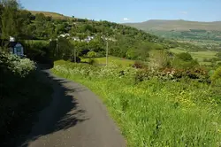 Small Hillside With A Couple Of Trees