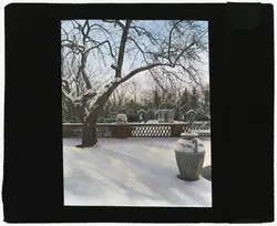 Bench Is Sitting In The Middle Of A Park