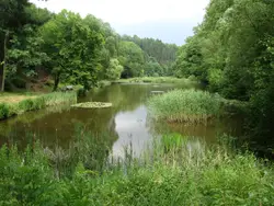 River With A Couple Of Trees And A Couple Of Ducks