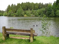 Bench Sits On A Bench Near A Lake