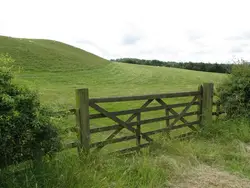 Fence Is In The Middle Of A Field