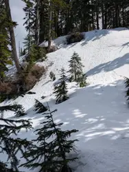 Snowy Mountain With A Few Trees