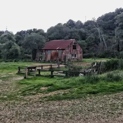 Bench In A Field With A Fence