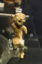 Toy Bear Is Sitting On A Display Case