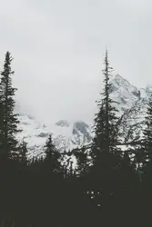 Snowy Mountain With A Few Trees