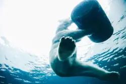 Man Is Swimming In The Water With A White Object