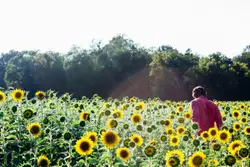 Person Standing In A Field With A Bunch Of Green Plants
