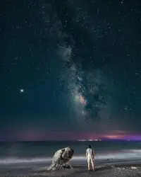 Two Birds Are Flying Over A Beach