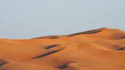 Desert With A Few Trees