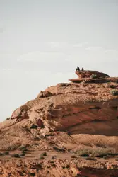 Lone Sheep Is Standing On A Rocky Hill