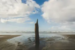 White And Blue Fire Hydrant On A Beach