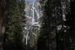 Snowy Mountain With Trees And A Mountain