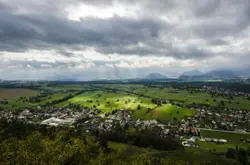 Large City With A Large Amount Of Trees