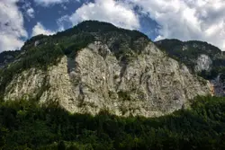 Wall With A Mountain And Some Trees