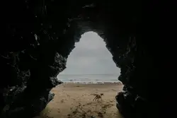 Lone Lone Person Is Standing On A Beach