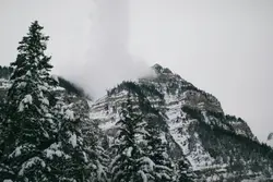 Snowy Mountain With A Few Trees