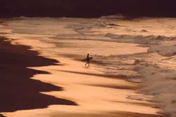 Person Riding A Surf Board On A Beach