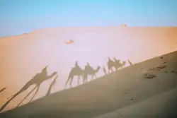 Line Of People Walking On A Beach