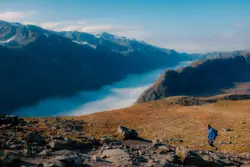 Person Standing On A Hill With A Bird On It