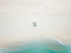 Bird Flying Over A Body Of Water