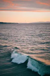 Lone Surfer Is Riding The Waves In The Ocean