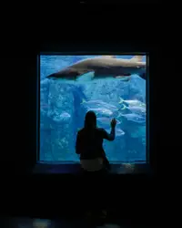 Woman Standing In Front Of A Large Glass Of Water