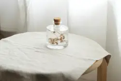 Cake On A White Plate On A Table