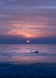 Lone Person Is Standing On A Beach