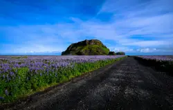 Field With A Flower Garden And A Fence