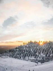 Snowy Mountain With A Few Trees